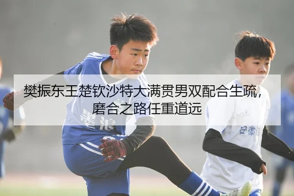 樊振东王楚钦沙特大满贯男双配合生疏，磨合之路任重道远